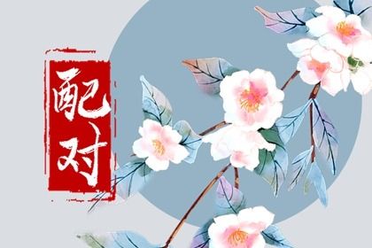 合婚分数≠幸福保证